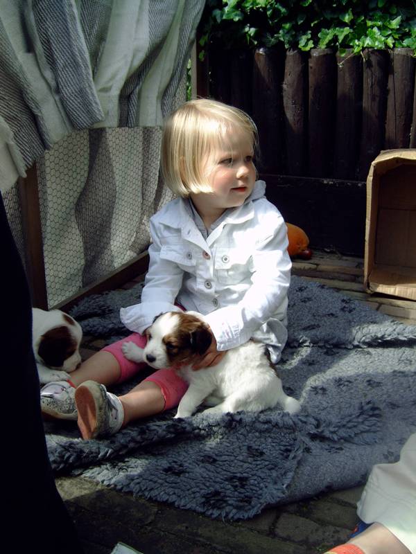 Puppies